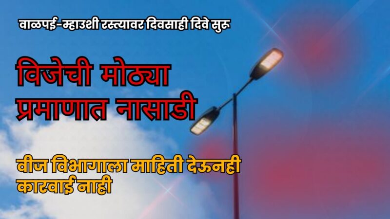 वाळपई-म्हाउशी रस्त्यावर दिवसाही वीज खांबावरील दिवे सुरू; विजेची नासाडी
