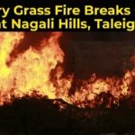 Dry Grass Fire Breaks Out at Nagali Hills, Taleigao