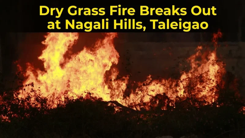 Dry Grass Fire Breaks Out at Nagali Hills, Taleigao