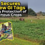 Goa Secures Five New GI Tags, Boosting Protection of Indigenous Crops