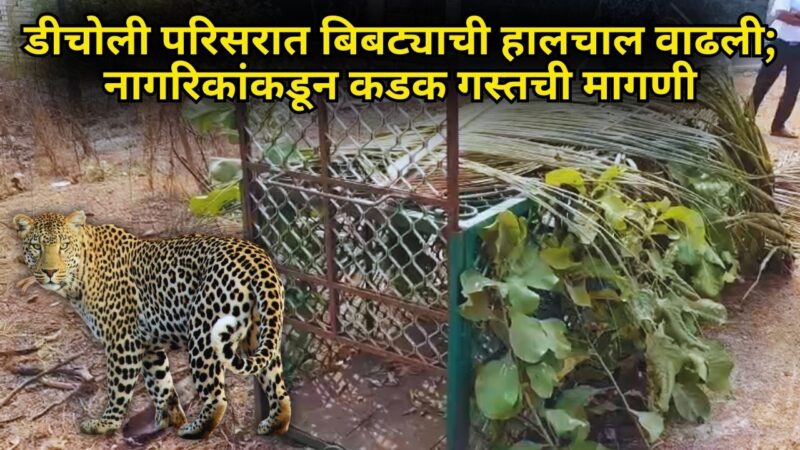 डीचोली परिसरात बिबट्याची हालचाल वाढली; नागरिकांकडून कडक गस्तची मागणी