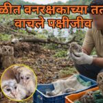 करमळीत वनरक्षकाच्या तत्परतेने वाचले पक्षीजीव