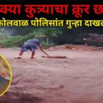 कामुर्ली येथे भटक्या कुत्र्याचा क्रूर छळ; कोलवाळ पोलिसांत गुन्हा दाखल