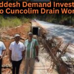 Elvis, Uddesh Demand Investigation into Cuncolim Drain Works