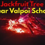 Dry Jackfruit Tree Fire Near Valpoi School