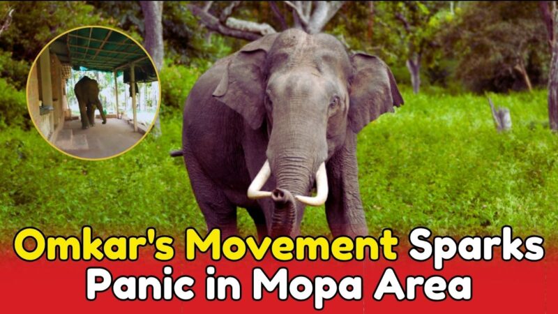 Omkar’s Movement Sparks Panic in Mopa Area