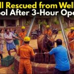 Bull Rescued from Well in Arambol After 3-Hour Operation