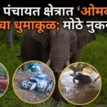 मोपा पंचायत क्षेत्रात ‘ओमकार’ हत्तीचा धुमाकूळ; मोठे नुकसान