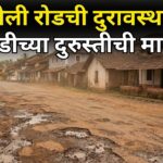 शेली रोडची दुरावस्था; तातडीच्या दुरुस्तीची मागणी