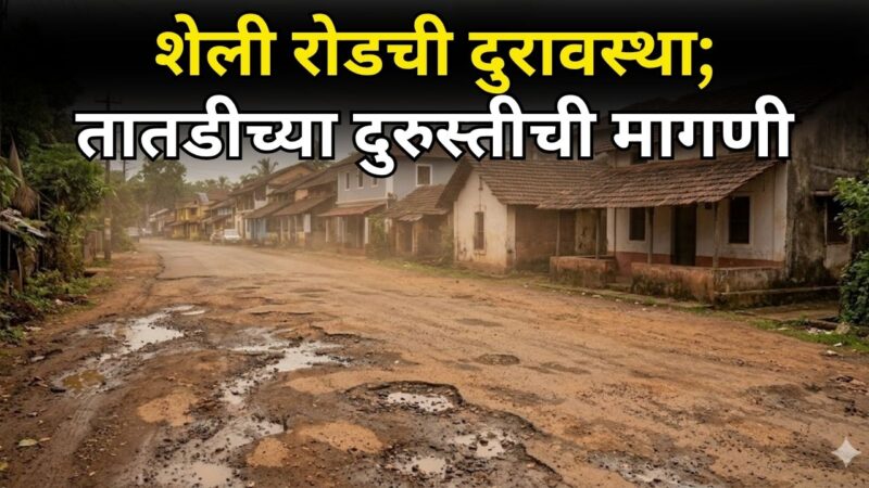 शेली रोडची दुरावस्था; तातडीच्या दुरुस्तीची मागणी
