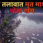 मळा तलावात मृत माशांचा मोठा खच