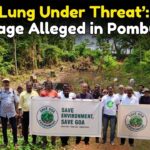 ‘Green Lung Under Threat’: Forest Damage Alleged in Pomburpa