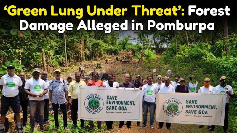 ‘Green Lung Under Threat’: Forest Damage Alleged in Pomburpa