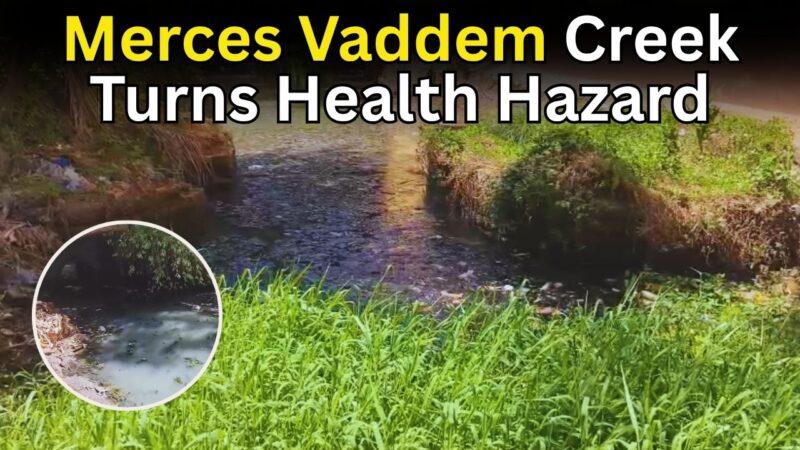 Merces Vaddem Creek Turns Health Hazard