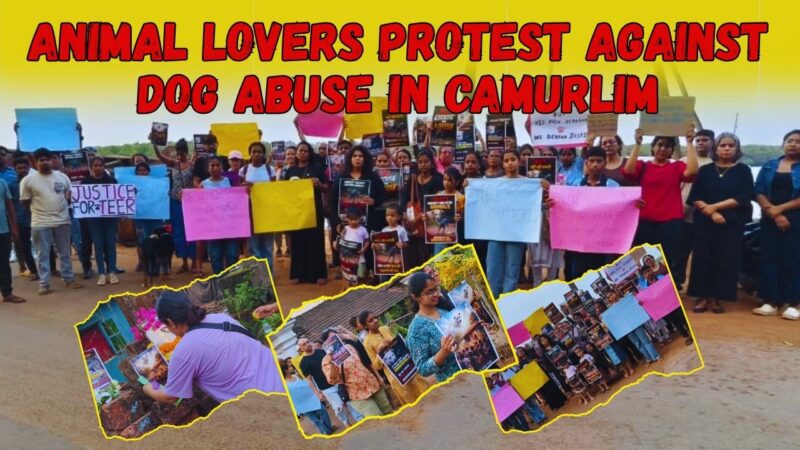 Animal Lovers Protest Against Dog Abuse in Camurlim
