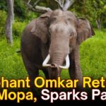 Elephant Omkar Returns to Mopa, Sparks Panic