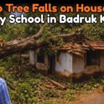 Mango Tree Falls on House Near Primary School in Badruk Karmali