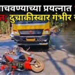 साप वाचवण्याच्या प्रयत्नात भीषण अपघात; दुचाकीस्वार गंभीर जखमी