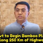Goa Govt to Begin Bamboo Plantation Along 250 Km of Highways