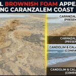 Unusual Brownish Foam Appears Along Caranzalem Coast