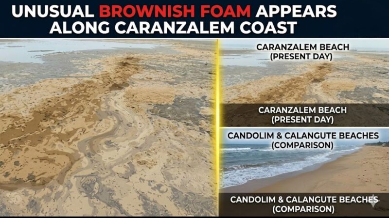 Unusual Brownish Foam Appears Along Caranzalem Coast