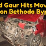 Wild Gaur Hits Moving Car on Bethoda Bypass
