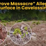 “Mangrove Massacre” Allegations Surface in Cavelossim