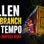 Fallen Tree Branch Hits Tempo on Anjuna-Mapusa Road