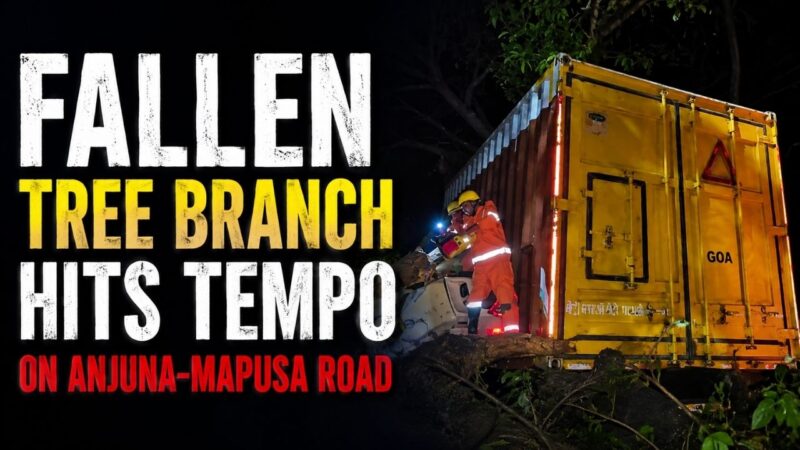 Fallen Tree Branch Hits Tempo on Anjuna-Mapusa Road