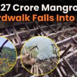 ₹2.27 Crore Mangrove Boardwalk Falls Into Ruin
