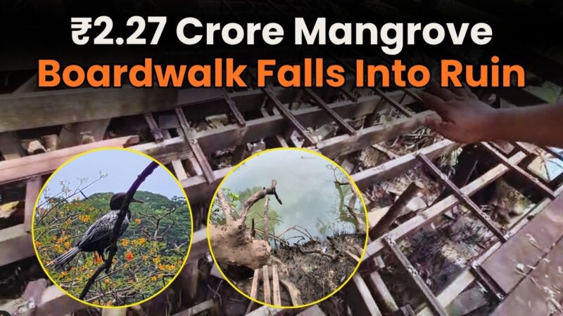 ₹2.27 Crore Mangrove Boardwalk Falls Into Ruin