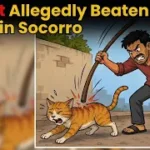 Pet Cat Allegedly Beaten to Death in Socorro; Police Complaint Filed