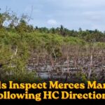 Officials Inspect Merces Mangroves Following HC Directions