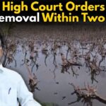 High Court Orders Debris Removal Within Two Weeks