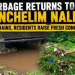 Garbage Returns to Cunchelim Nallah After Rains, Residents Raise Fresh Concerns